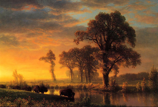 Western Kansas by Albert Bierstadt